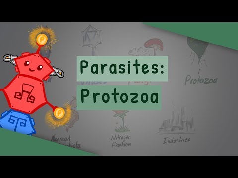 What Term Describes Protists That May Be Either Free-Living Or Get Nutrients From Host Organisms?